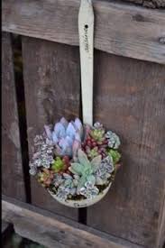 Visualizza più fioriere in ceramica, vasi e ciotole in diversi colori e set di 7 piccole piante in ceramica per piante grasse, home decor colorato planter pot set, vasi in ceramica indoor unici. 50 Idee Su Appendere Piante Grasse Nel 2021 Appendere Piante Grasse Piante Piante Grasse