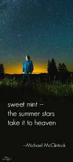 Haiku Poem Sweet Mint By Michael Mcclintock Haiku Poems Haiku Poetry Very Short Poems
