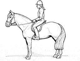 Ausmalbild Pferd Animal Coloring Pages Horse Rider Coloring Pages