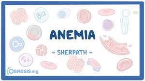 Image result for Anemia