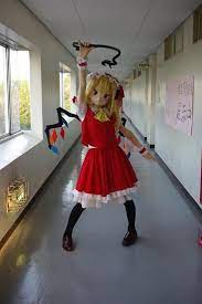 ようやく時間が取れた 日々の戯言 きぐるみ 着ぐるみ スーパーウーマン