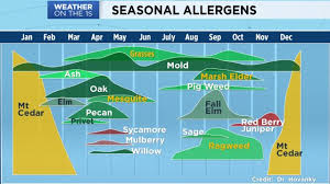 allergy austin spectrum news