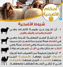 أن تكون مملوكة لصاحبها المضحي، كأن يشتريها أو تُهدى إليه أو بأي وجه من وجوه التملك المشروعة، أما التملك غير المشروع كالسرقة مثلاً فلا يجوز التضحية به، ولا يجوز إذا تعلق بالأضحية حق للغير، كالمرهون فلا تصح التضحية به. Ø³Ù„Ø³Ù„Ø© Ø¨Ø·Ø§Ù‚Ø§Øª Ø£Ø­ÙƒØ§Ù… Ø§Ù„Ø£Ø¶Ø­ÙŠØ© ØªØ¬Ù…Ø¹ Ø¯Ø¹Ø§Ø© Ø§Ù„Ø´Ø§Ù…