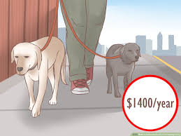 A challenging dog tooth extraction needing stitching and nerve block can cost as much as $150. How To Estimate The Cost Of Owning A Dog With Pictures Wikihow Pet