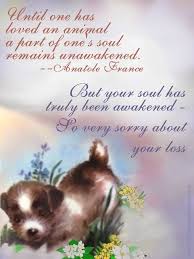 Pet Loss Sympathy Cards Pet Poems Dog Sympathy Card Christmas In Heaven Poem
