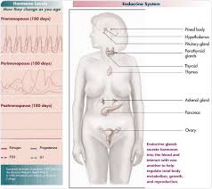 Some cancer treatments cause menopause to occur earlier. Causes Of Menopause