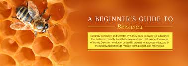 The balm should absorb almost instantly. Beeswax Nature S Most Precious Gift Benefits And Uses Skin Hair