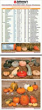 How To Choose Fall Cucurbits Johnnys Selected Seeds