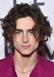 Fan Casting Timothée Chalamet as Louis DeNonno in Kyle Hyde Saga