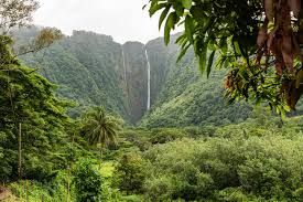 But we'll get to that in a moment. Can I Move To Hawaii Right Now
