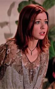 Buffy the Vampire Slayer TV Series