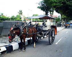 15 Alat Transportasi Darat Laut Dan Udara Tradisional Modern Salamadian