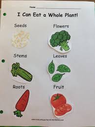 Maybe you would like to learn more about one of these? Parts Of Plants Science 4 Superheroes