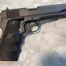 Image result for Grace Silver 1991 Colt