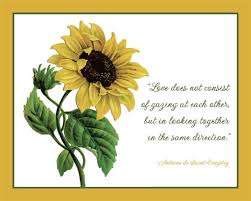 A Falling In Love Contest Celebrating Our 10th Wedding Anniversary Sunflower Quotes Qoutes About Love For Him Birthday Love