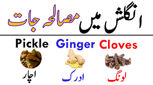 Pin On English To Urdu Vocabulary