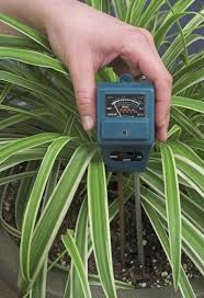 soil moisture monitoring tips on checking plant moisture