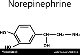 Image result for Norepinephrine