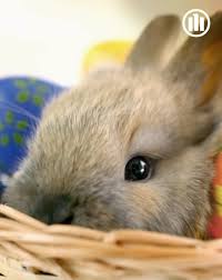 95676 wiesau (0) architektur wiesau www.huithhaus.de mehr infos mehr infos (0) ludwig fröhlich. Allianz Generalvertretung Thomas Huith Home Facebook