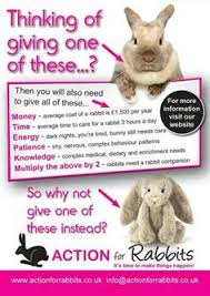Spaying females is a more complex operation than neutering males. 36 Be A Responsible Pet Owner Ideas Responsible Pet Owner Pets Pet Owners