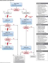 Part 3: Adult Basic and Advanced Life Support: 2020 American Heart  Association Guidelines for Cardiopulmonary Resuscitation and Emergency  Cardiovascular Care | Circulation