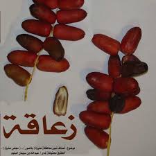 انواع التمور بالصور Date Palm Vegetables Dating