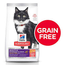 Pin On Cats Food