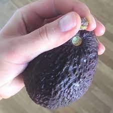 Dec 20, 2020 · testing avocadoes for ripeness 1. How To Tell If An Avocado Is Ripe Tips And Tricks