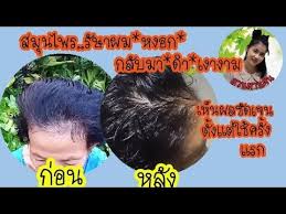ส ตร ผมหงอกกล บมาดำเงางาม ส ตรป ดผมขาวด วยว ธ ธรรมชาต ผมหงอกหล บมาดำจากใบย านางอ ญช ญมะกร ดน ำข าว youtube ส ขภาพ ออกกำล งกาย การออมเง น
