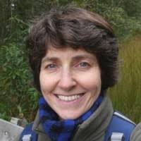 200+ Profile mit dem Suchbegriff „Ober“