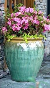 Best flowers for small pots full sun. Best Flowers For Pots Flowersandflowerthings Potted Plants Patio Shade Flowers Amazing Flowers