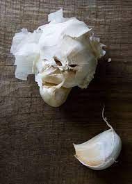 The Rainforest Garden Grow The Garlic Leeks And Onions In Your Fridge Garlic Growing Garlic Leeks