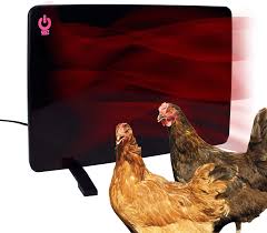 Maybe you would like to learn more about one of these? Amazon Com Cozy Products Cl Cozy Safe Chicken Coop Heater 200 Watts Safer Than Brooder Lamps One Size Black Patio Lawn Garden