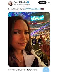 Brandi compared to Judas in wrestling context