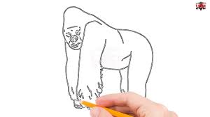 Как нарисовать how sketch, як намалювати, #drawing, #draw, how to draw, олівець малювець нам подобається #youtubekids, ми також робимо все для youtube kids app. How To Draw A Gorilla Step By Step Easy For Kids Beginners Simple Gorillas Drawing Tutorial Youtube