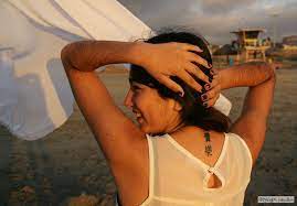 Here are some of our notable projects. Brisa 2018 01 24 2 Brisa S Second Gallery A Stroll On T Flickr