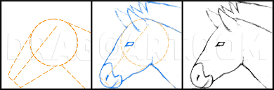 A cute zebra type, chibi form. How To Draw A Zebra Draw A Realistic Zebra Step By Step Drawing Guide By Finalprodigy Dragoart Com