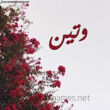 وتين شكل 18 صوره الورد الأحمر للإسم بخط رقعة كتابة على الورد 2021
