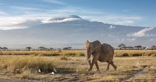 Интерактивная карта фото танзании всего фото танзанию: Tanzania Safari Tours Luxury Trips Enchanting Travels