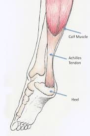 One of the most frustrating things about of many of the achilles tendon overuse injuries i see, such as achilles tendinopathy, is that the majority of them appear to come out of nowhere, at least from the runner's. Achilles Tendonitis Moderation And Stretching Can Keep It At Bay Aches Joints