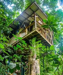 The grounds are tranquil and feature extensive flower and vegetable gardens, and the property's base camp provides customized activities, tours, bike trips. Finca Bellavista Treehouse Community Piedras Blancas Costa Rica Opiniones Comparacion De Precios Y Fotos Del Rancho Tripadvisor