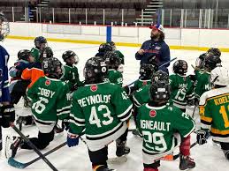 Profili për BW Hockey