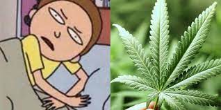 Para los promotores de la iniciativa. Oigan Y La Ley Para Legalizar La Marihuana En Mexico
