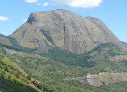 Image result for Erianthemum schelei