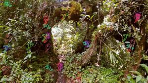 Check spelling or type a new query. The Botanical Mind Art Mysticism And The Cosmic Tree