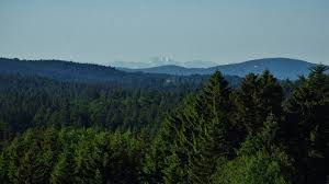 Der bayerische wald an der grenze zu tschechien ist zusammen mit dem angrenzenden böhmerwald eines der wenigen verbliebenen, geschlossenen waldgebiete in mitteleuropa. Zum Latschen In Mauth Geeignet Fur Jede Jahreszeit