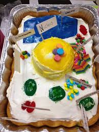We did not find results for: Cell Analogy Projects Cells Project Cell Analogy Cell