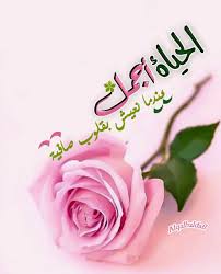 Pin By زهرة الياسمين On مقتطفات Morning Greetings Quotes Romantic Love Quotes Good Morning Gif