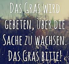 Lustige Sprüche Bilder Zum Lachen Und Sprüche Zum Nachdenken