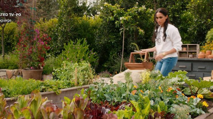 On Meghan Sussex's new lifestyle series: glimpses of her garden, but no  gardening - GardenRant